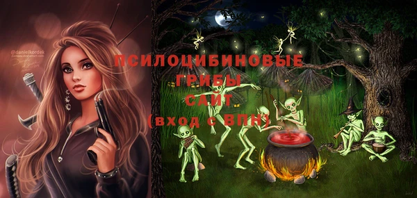 марки nbome Горняк