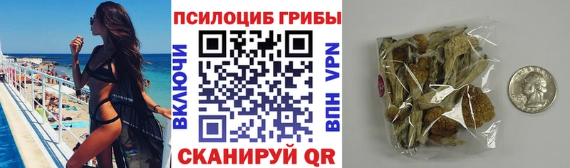 Галлюциногенные грибы ЛСД  Купить где  Кизляр 